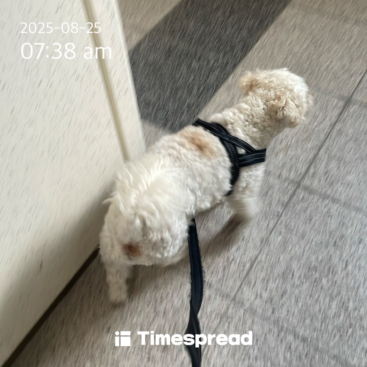board-img