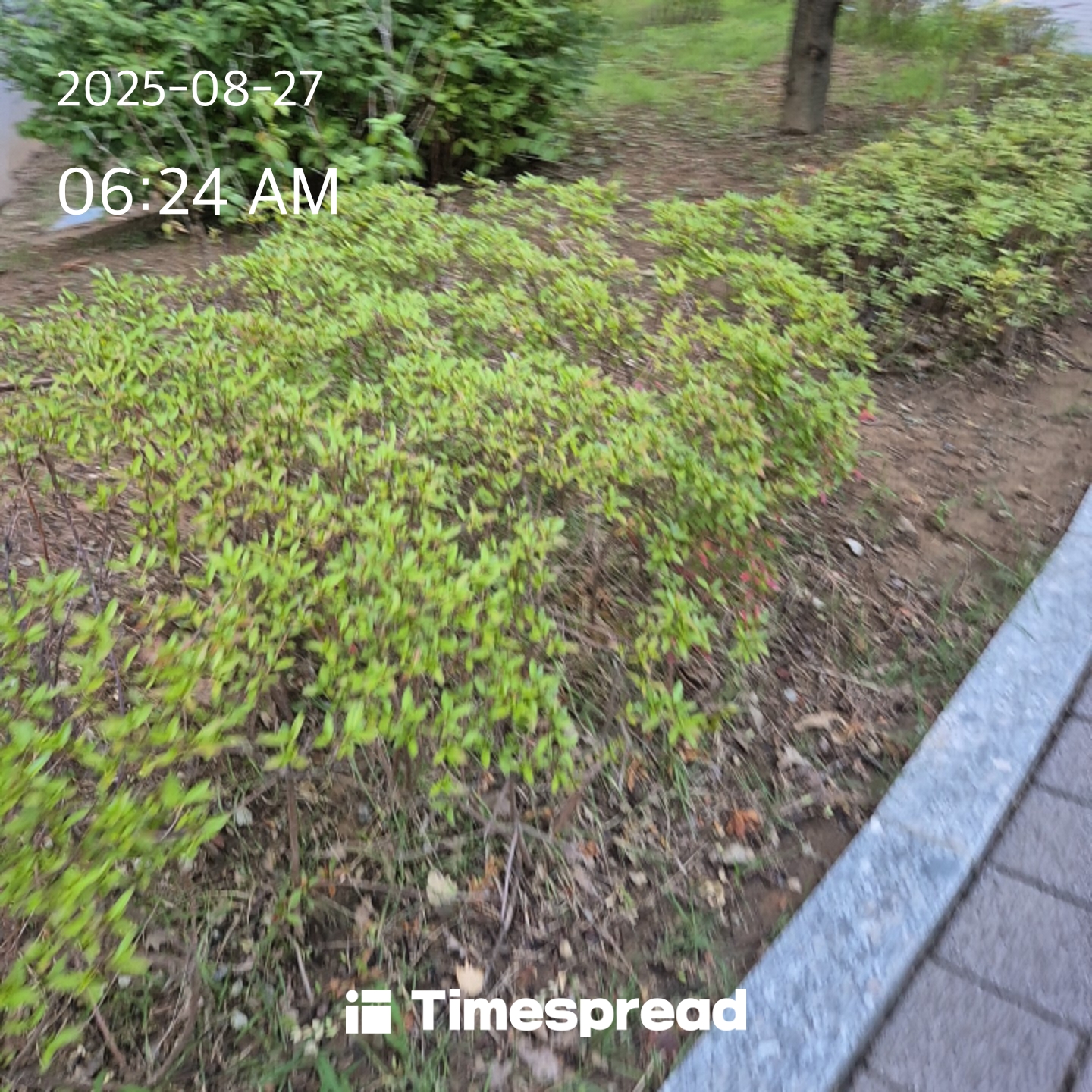 board-img