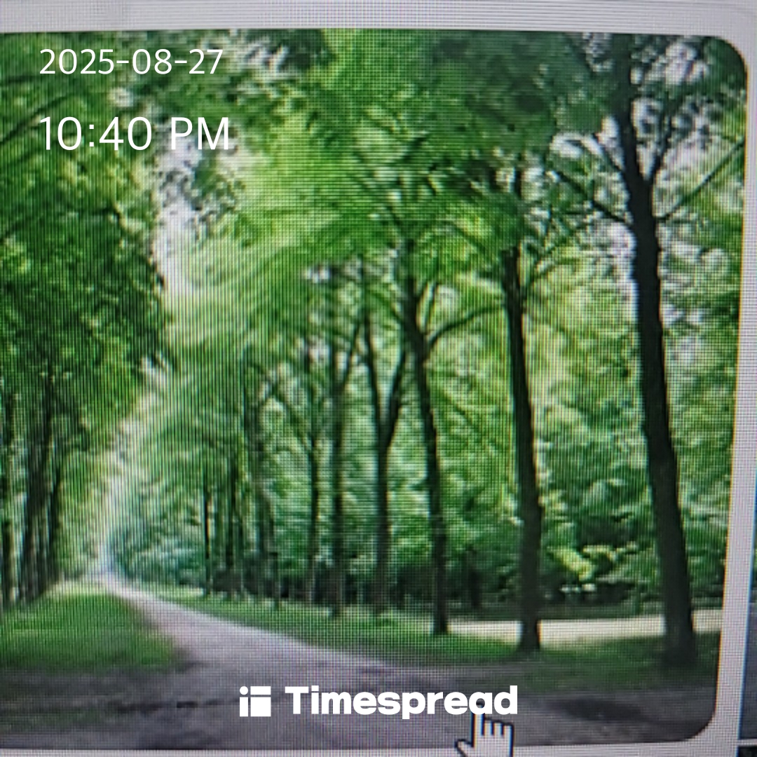 board-img