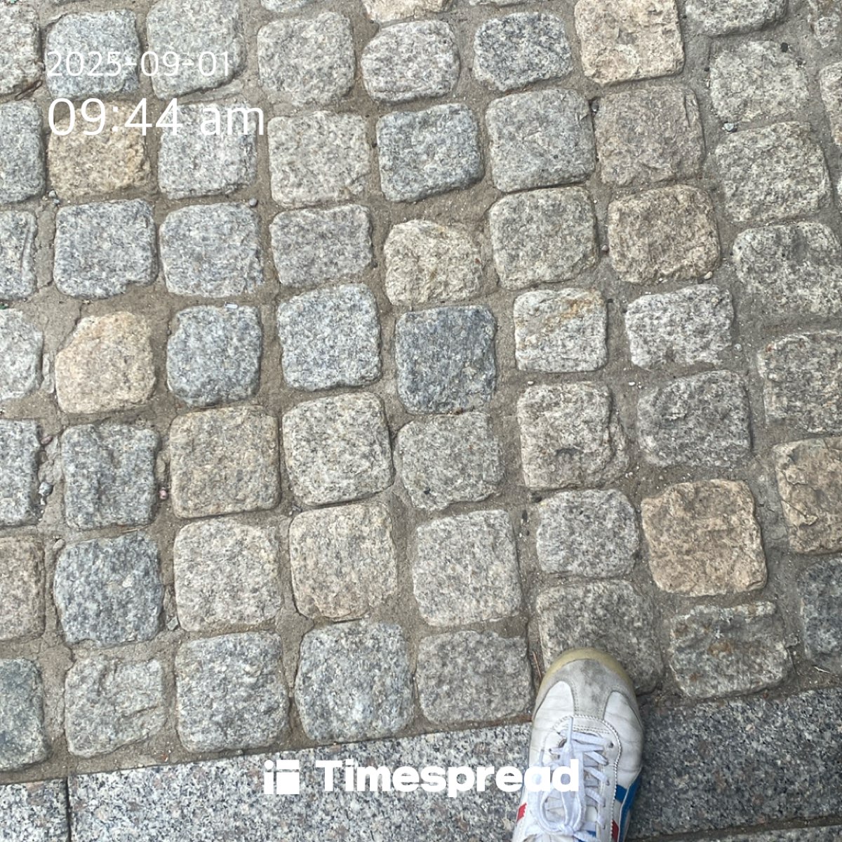 board-img