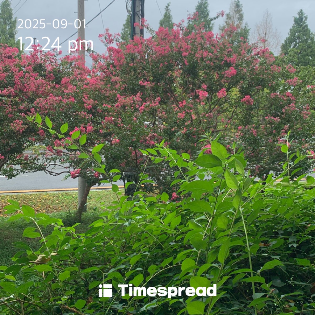 board-img