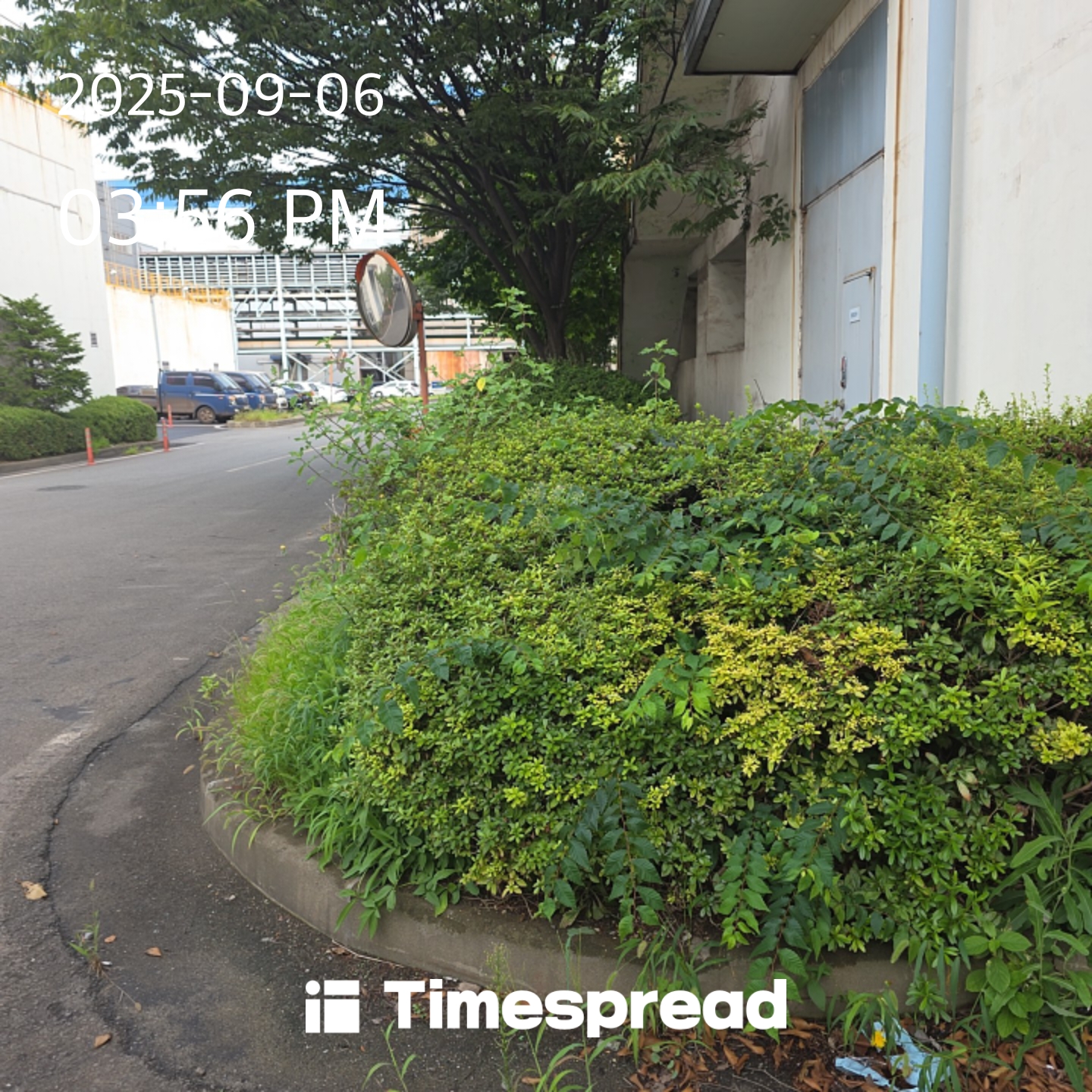 board-img