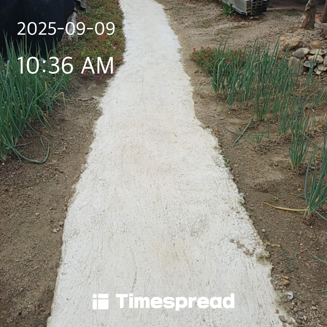 board-img