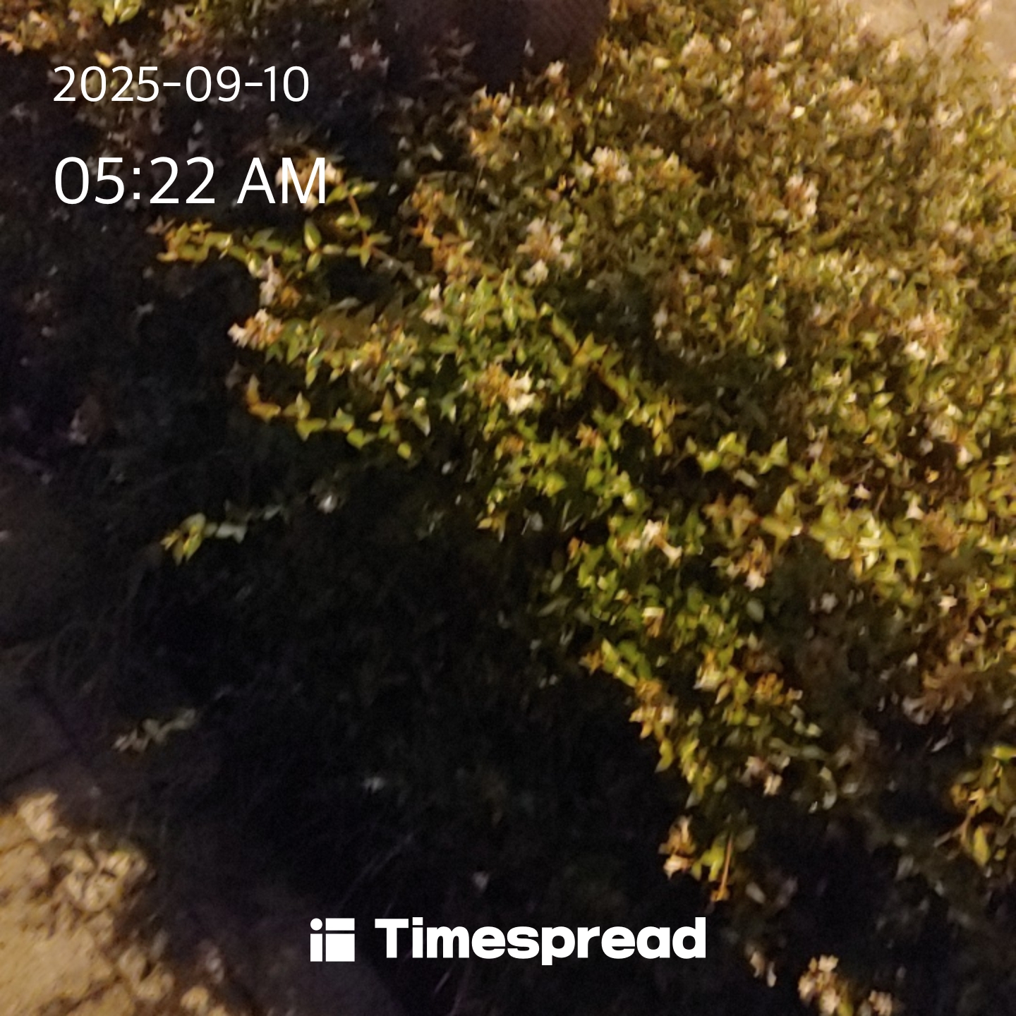 board-img