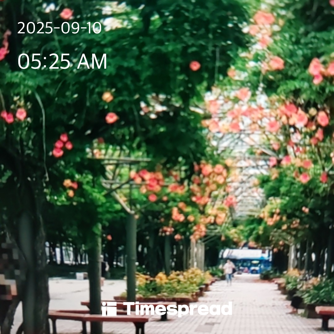 board-img