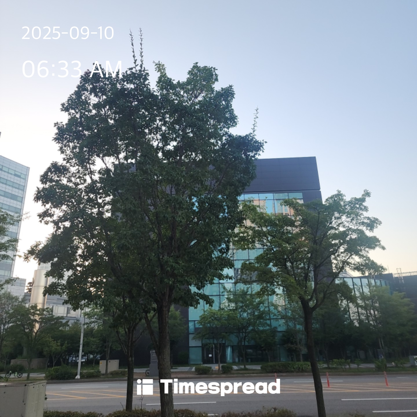 board-img