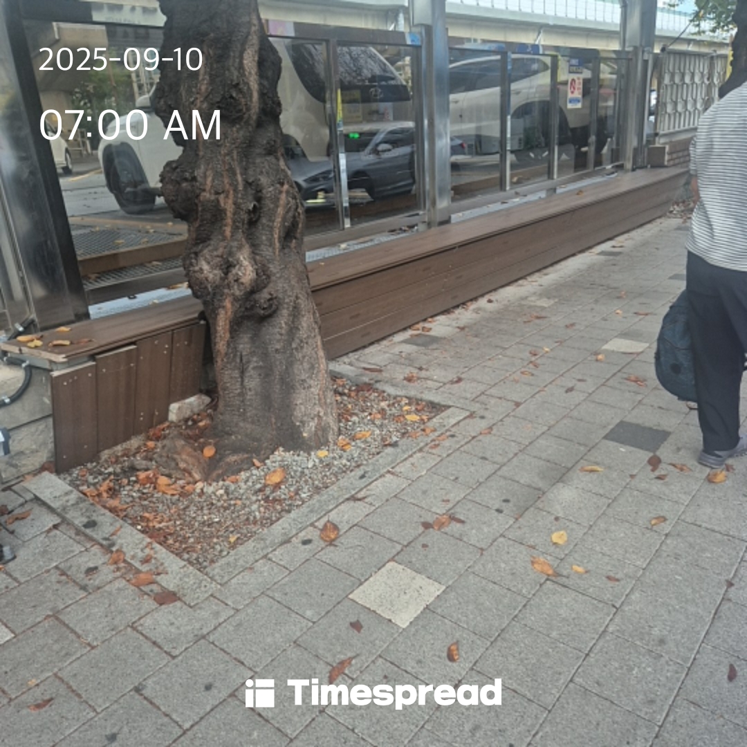 board-img
