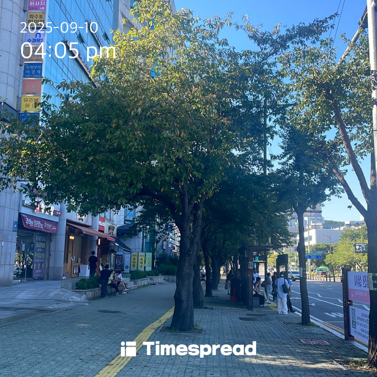 board-img