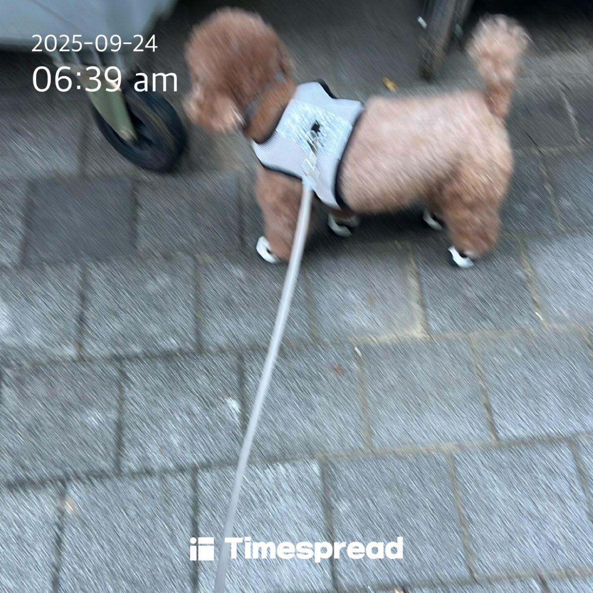 board-img