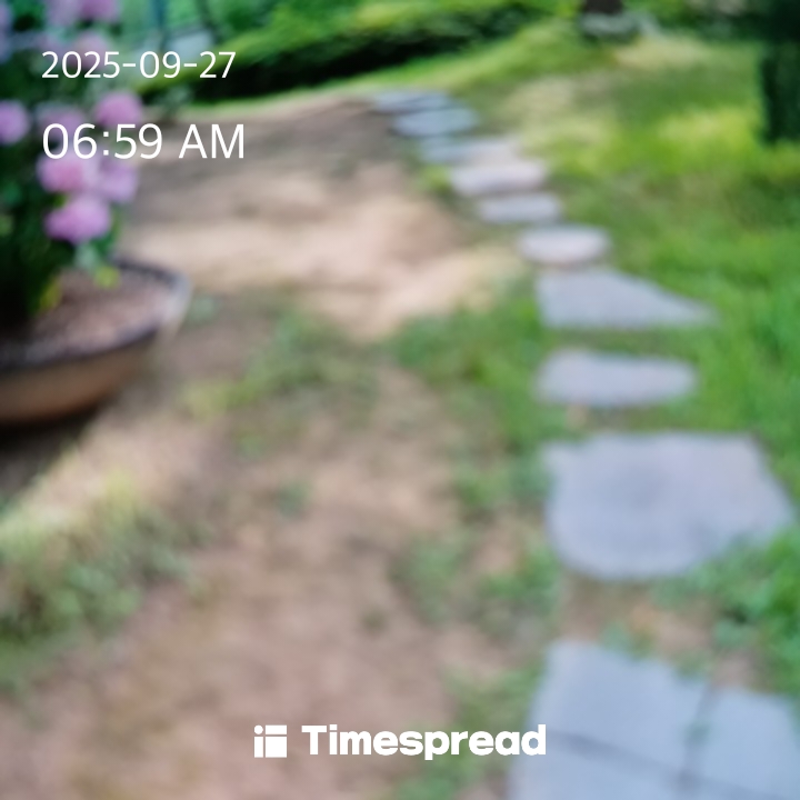 산책하기