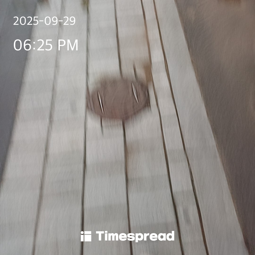 board-img