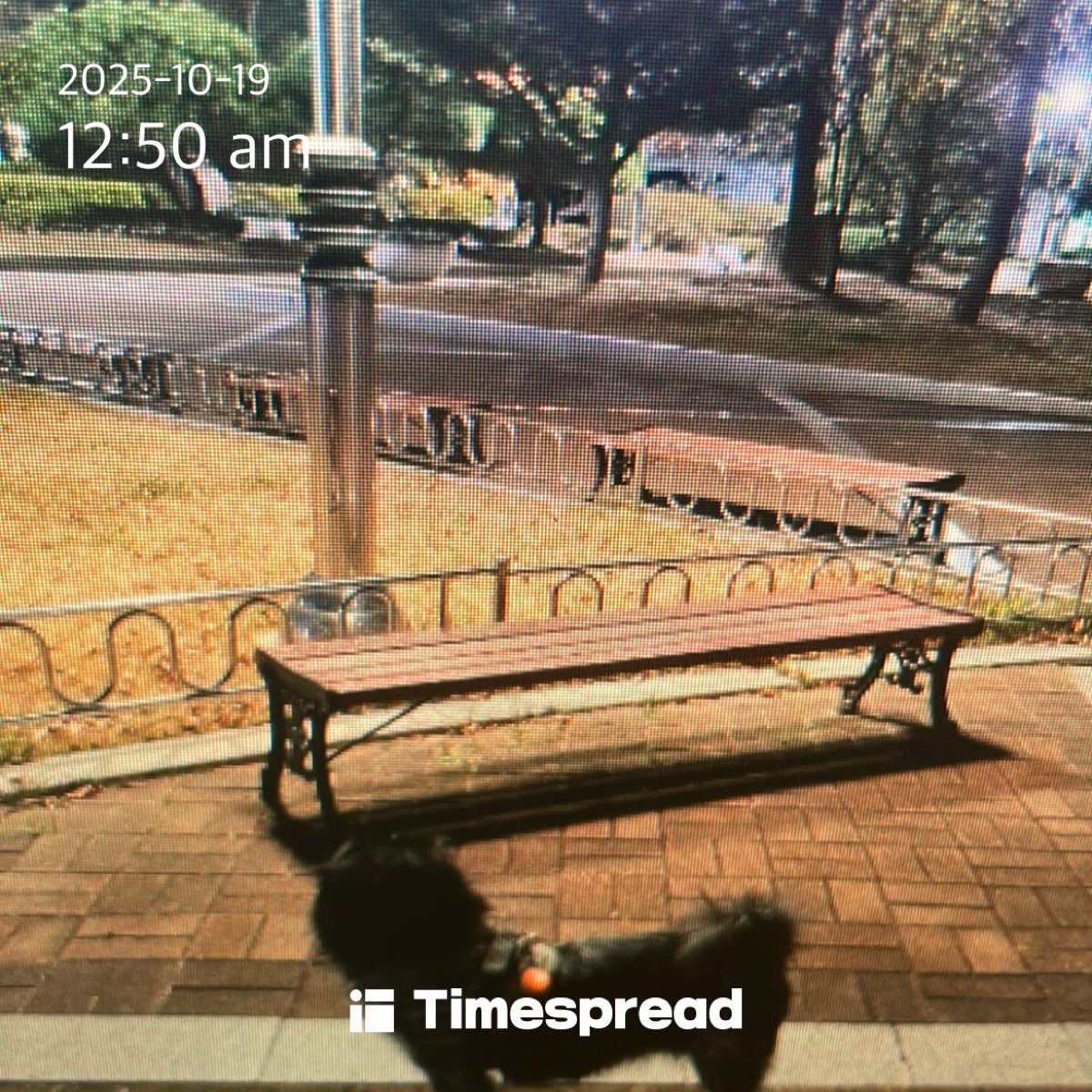 board-img