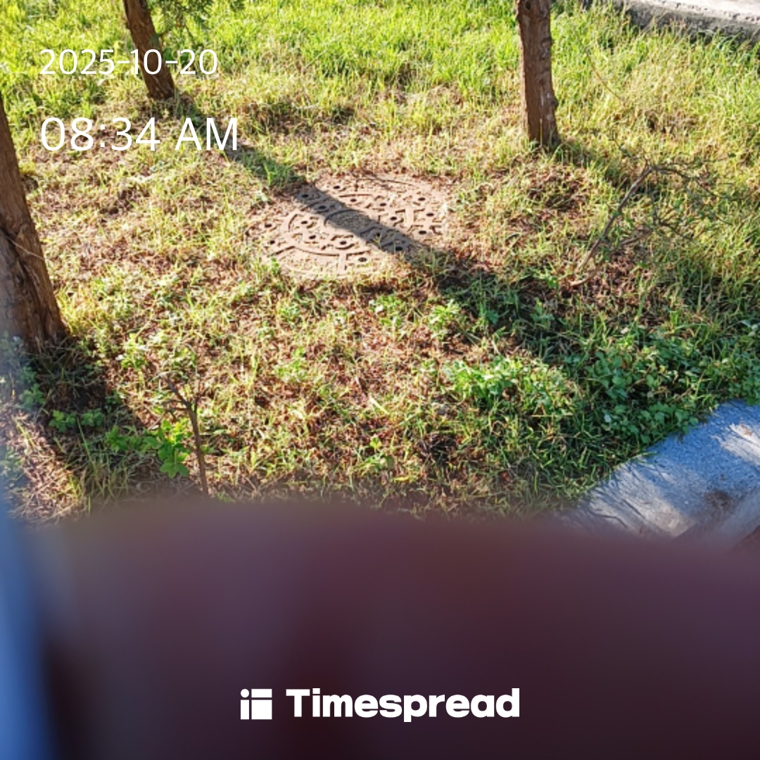 board-img