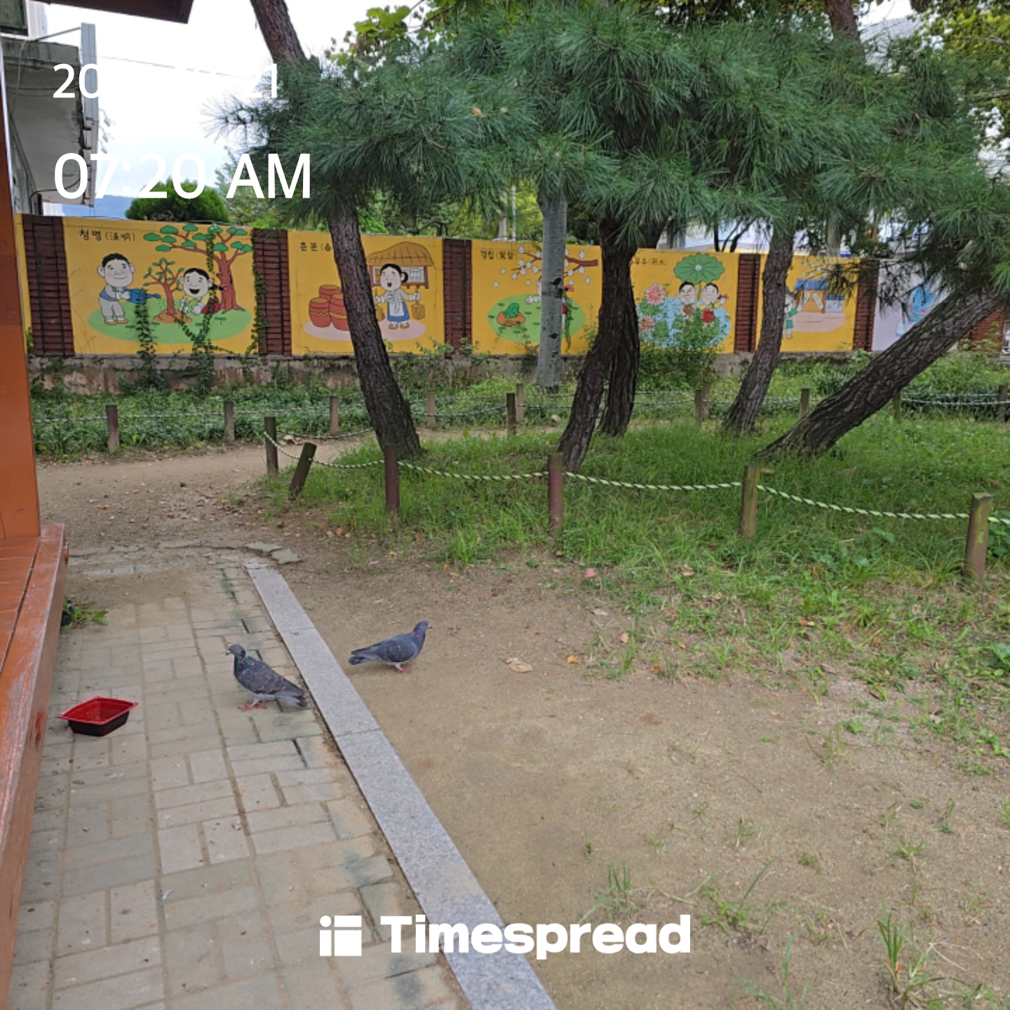 board-img