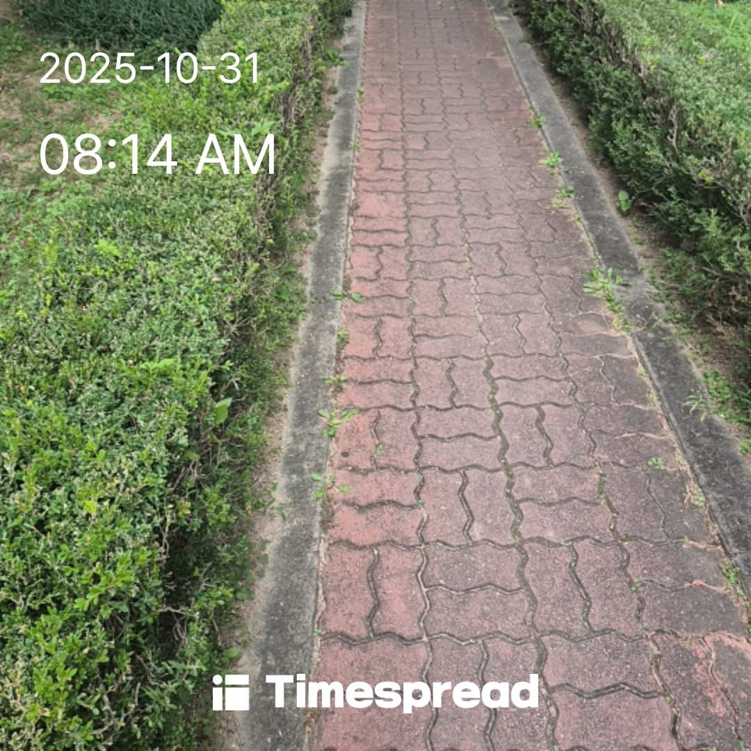 산책하기 챌린지   5일차 인증