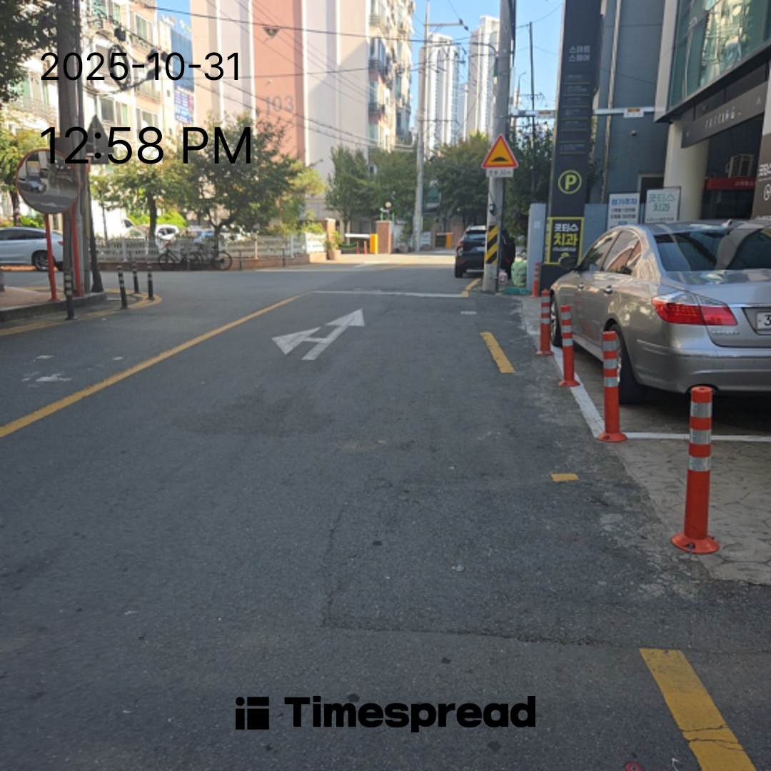 하루한번산책하기