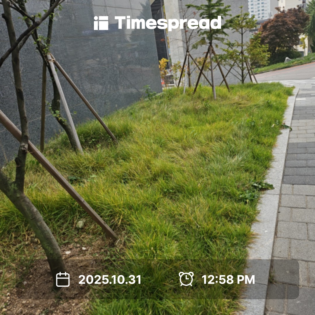 산책하기 챌린지