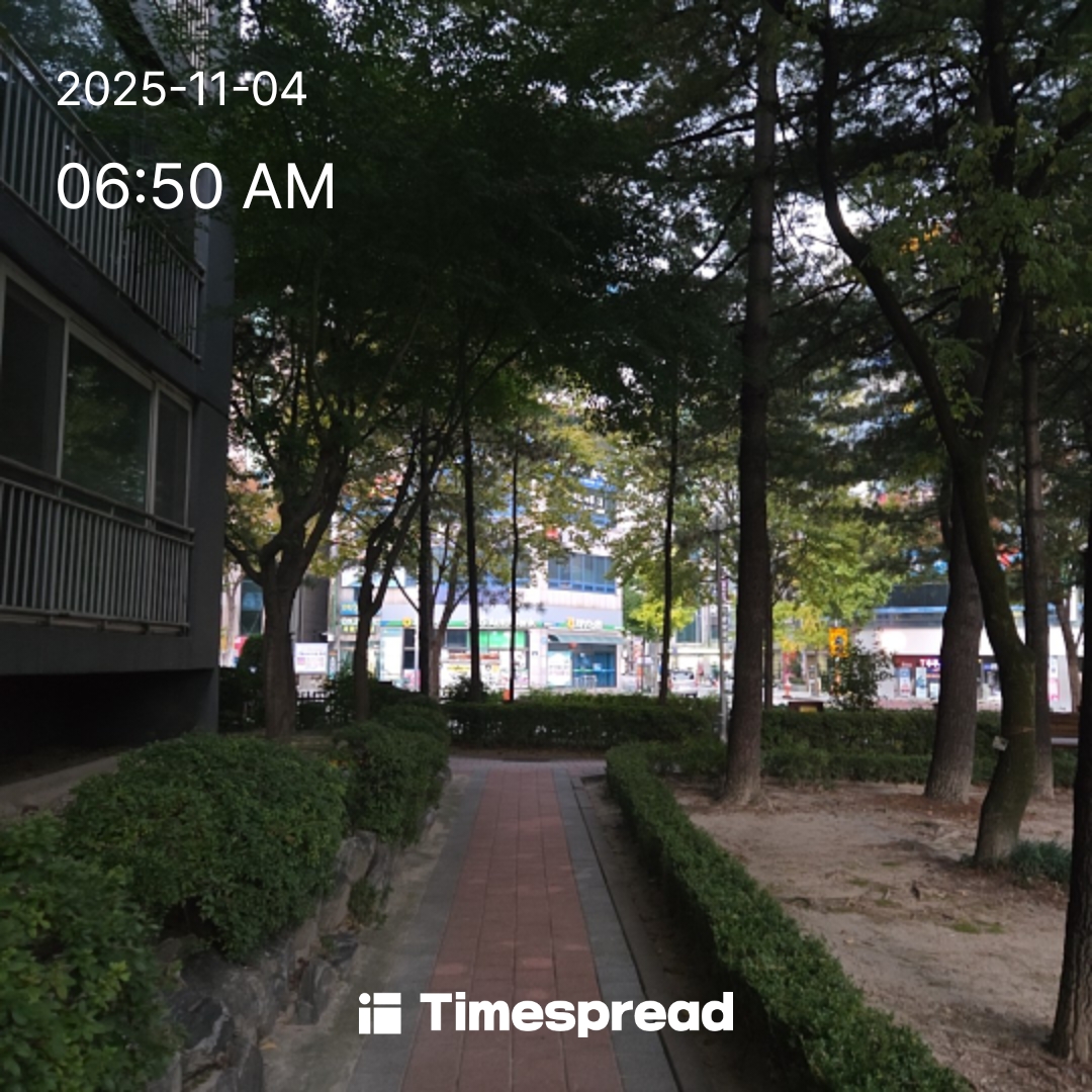 집 주변 산책하기