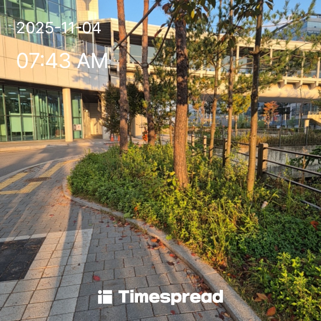 활기찬 하루의 시작