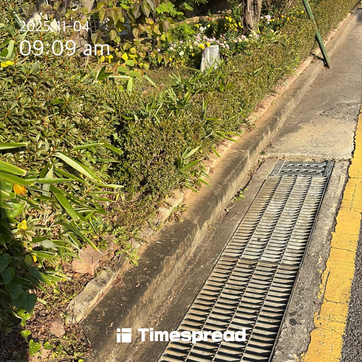 산책하기 2일차