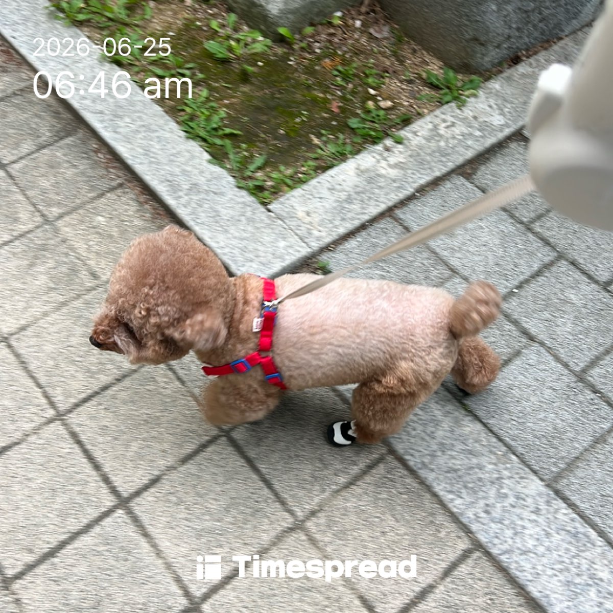 board-img