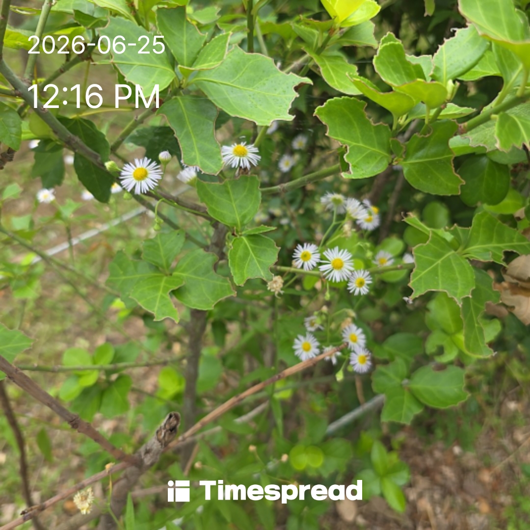board-img