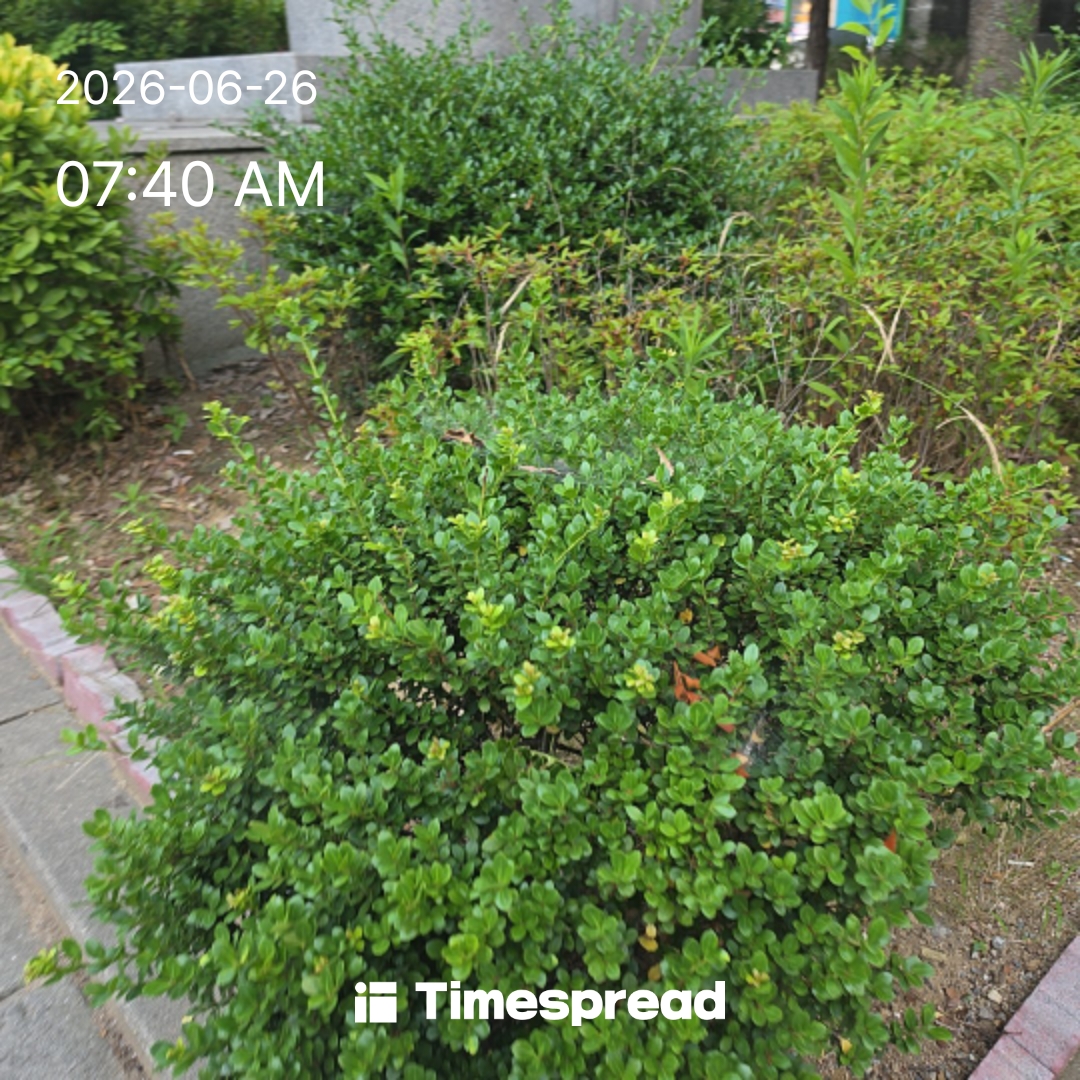 board-img