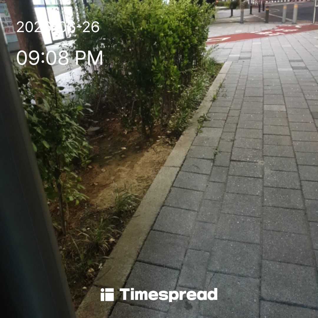 board-img