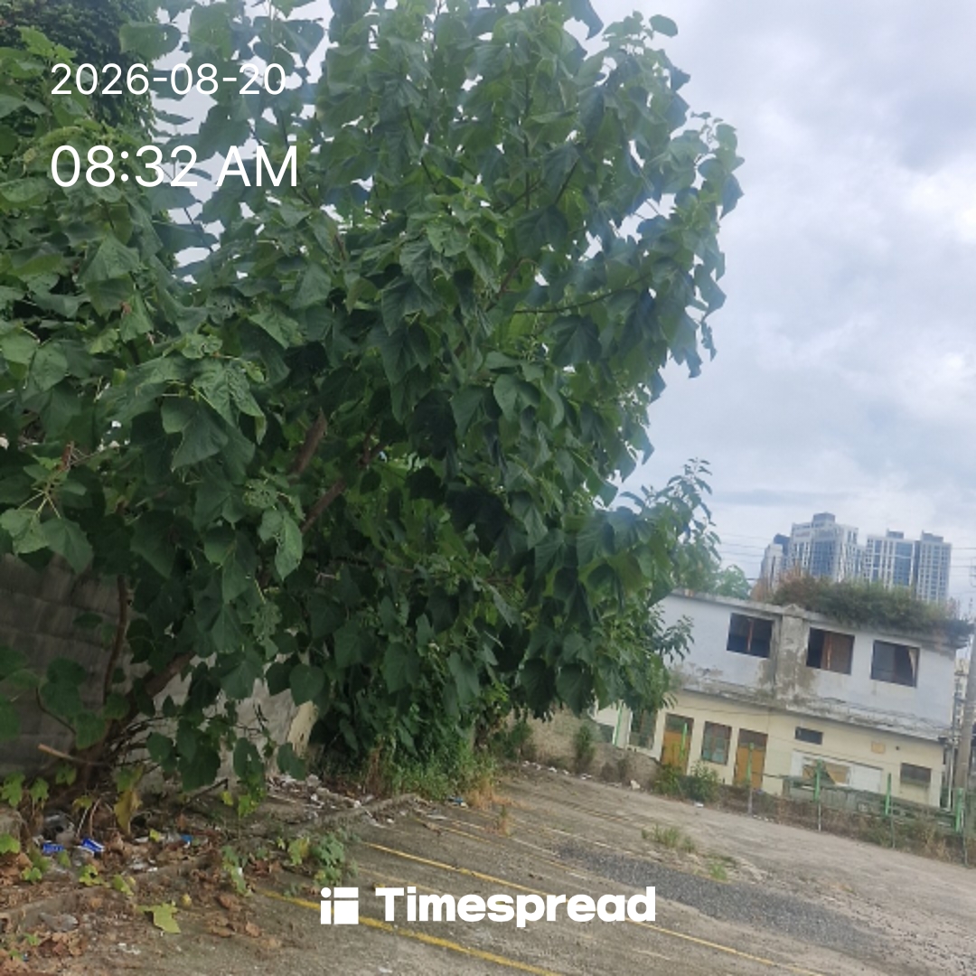 board-img