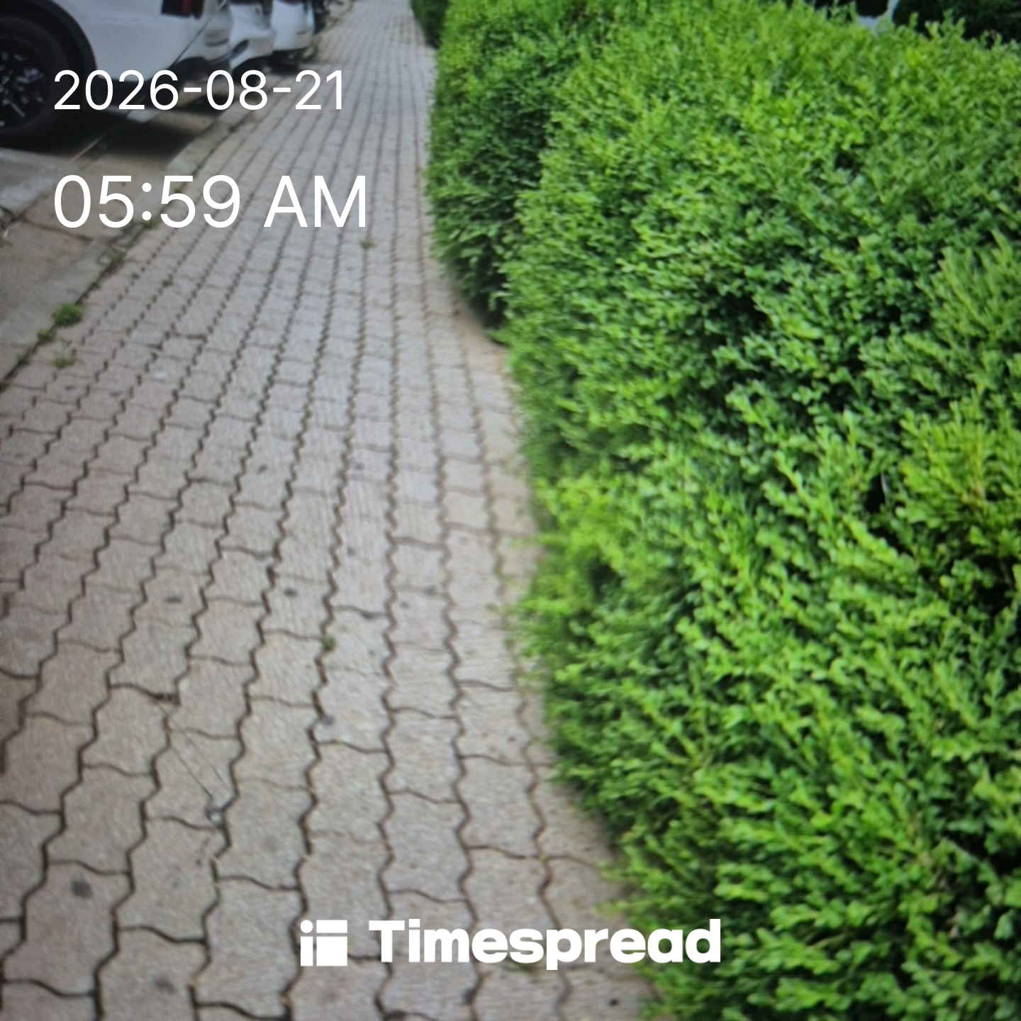 board-img