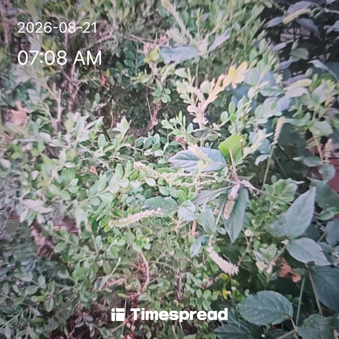 board-img