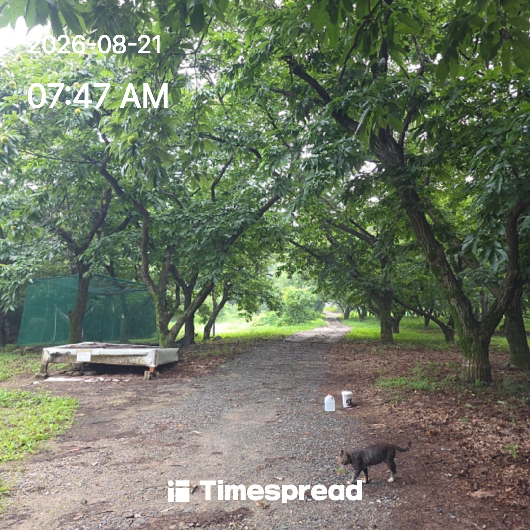 board-img