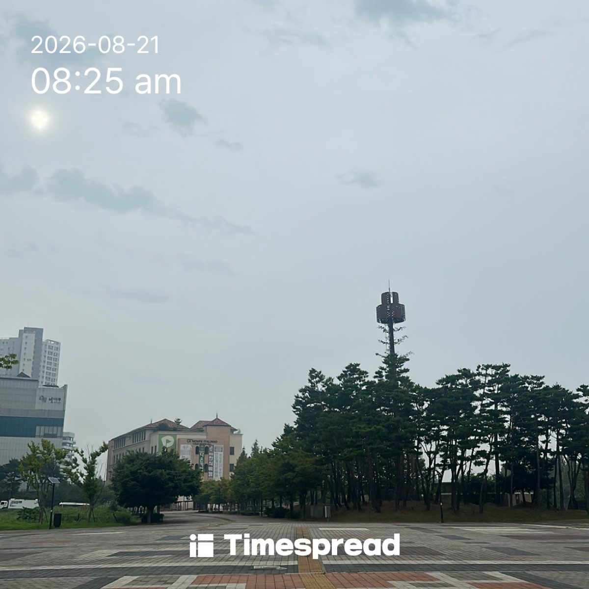 board-img