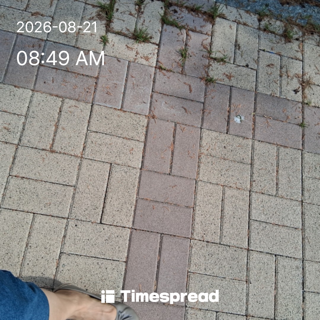 board-img