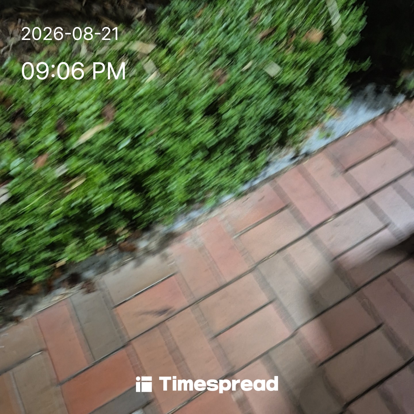 board-img