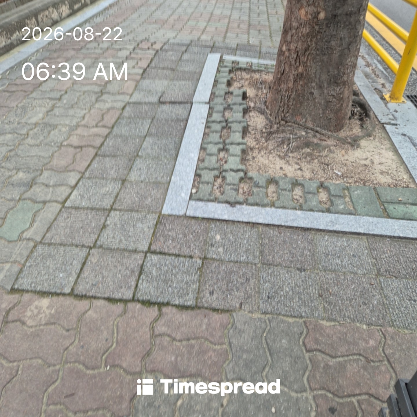 board-img