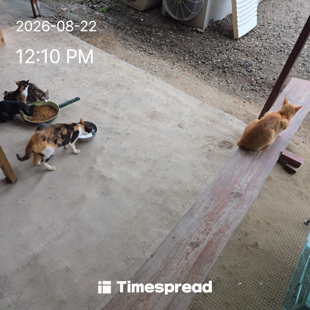 board-img