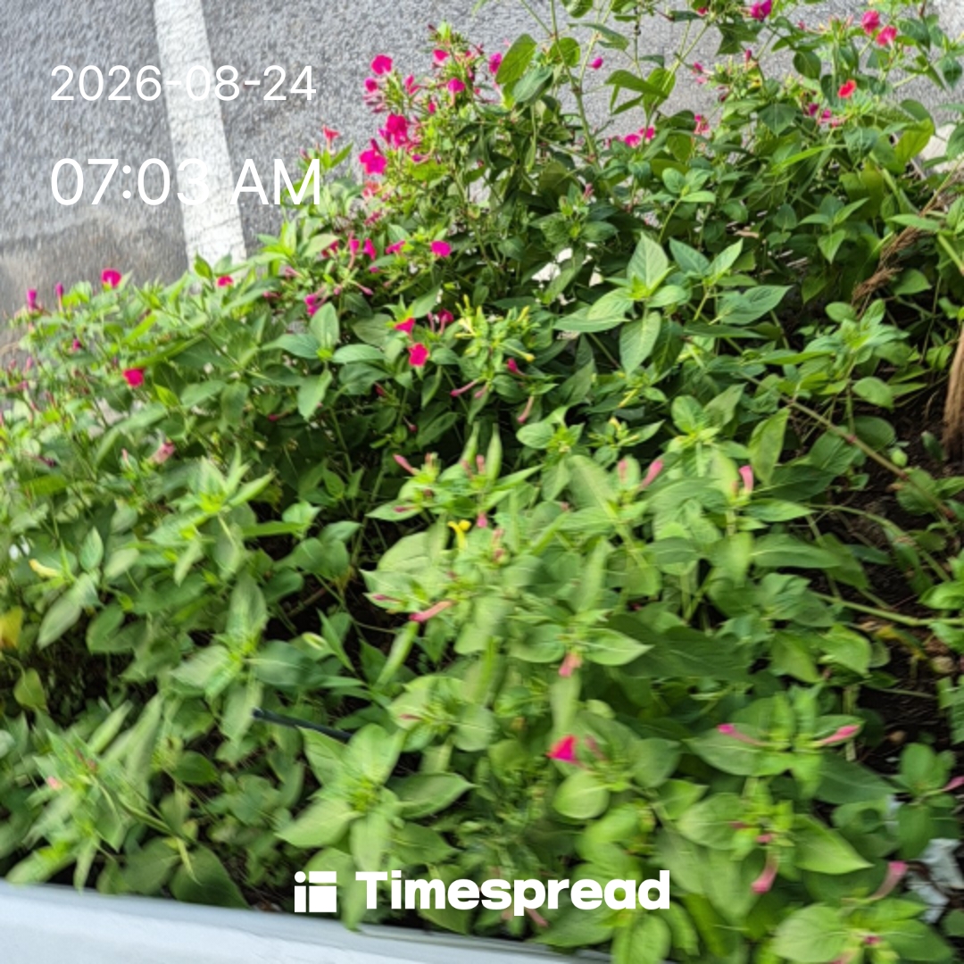 board-img