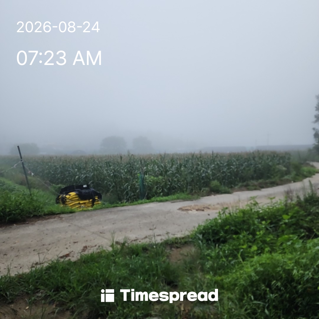 board-img