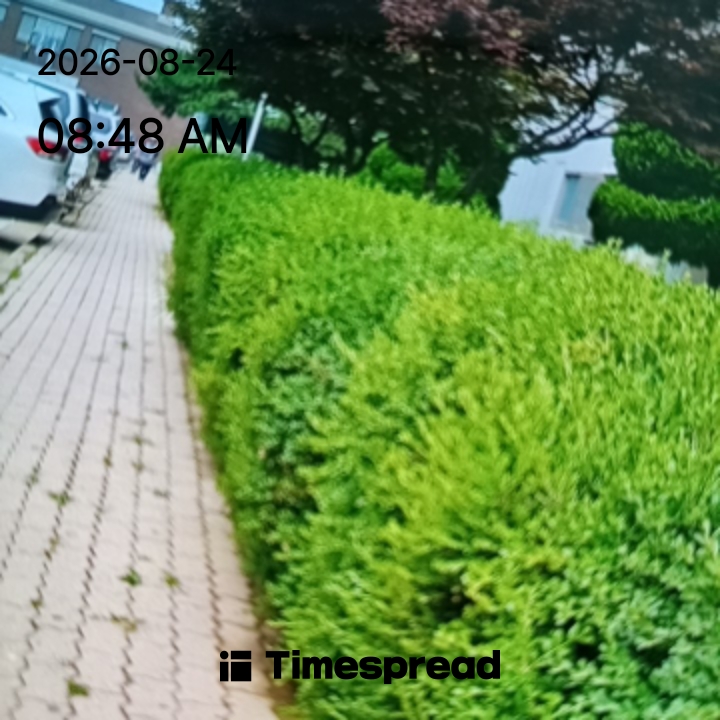 board-img