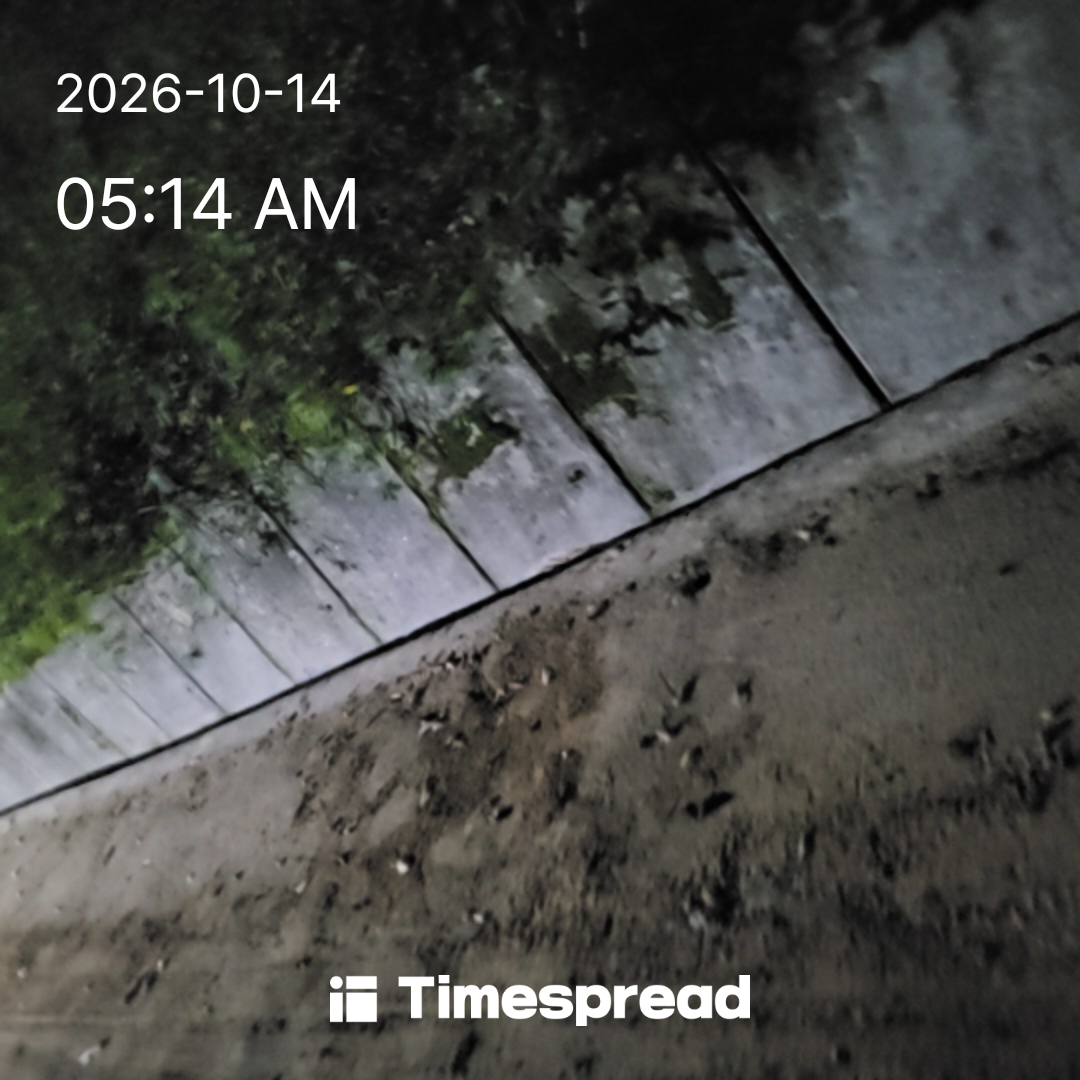 board-img