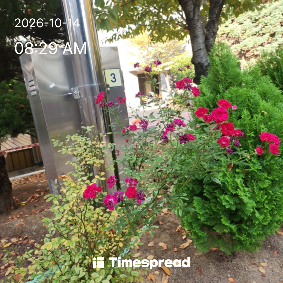 board-img
