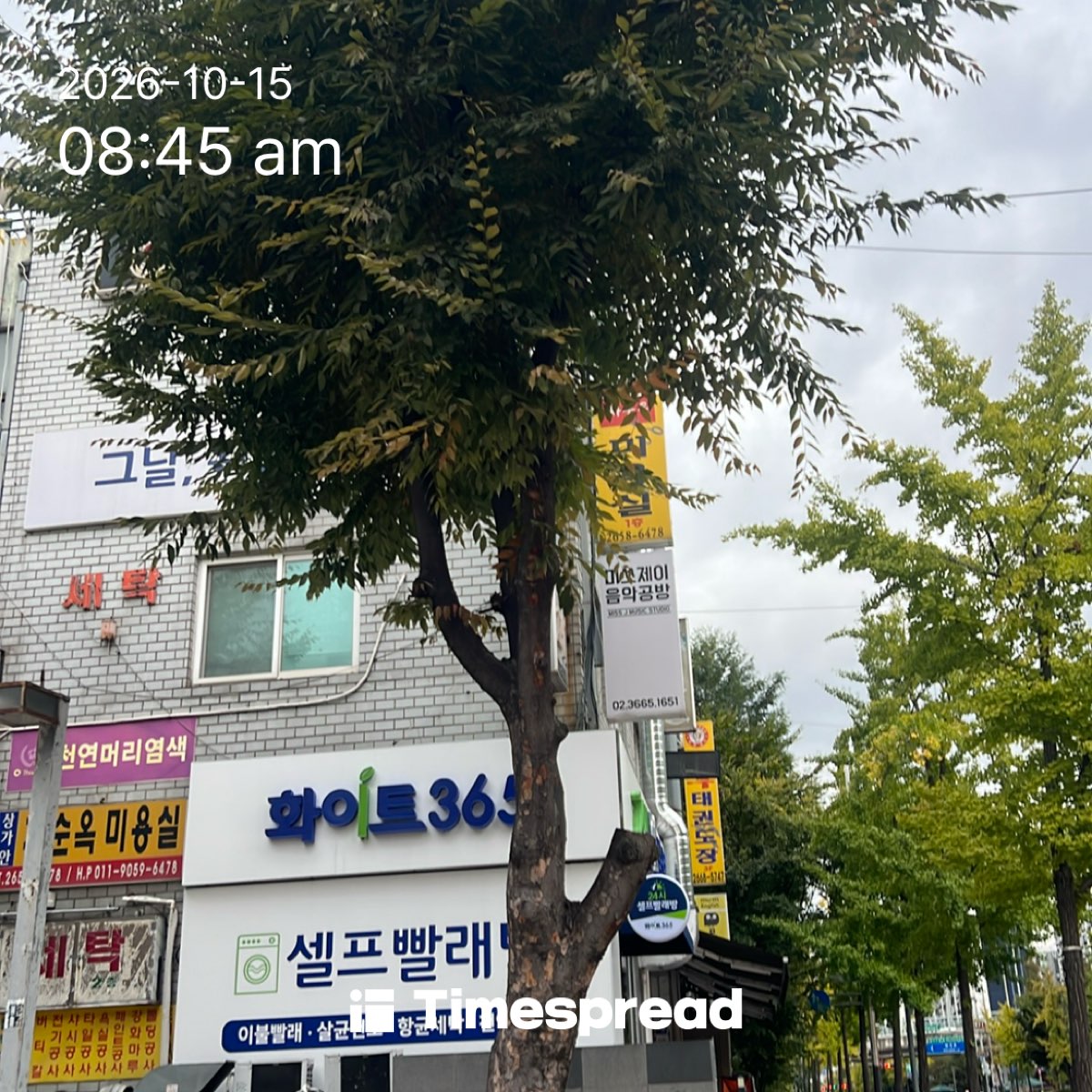 board-img