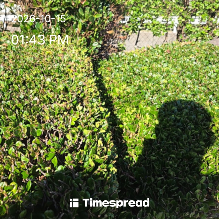board-img