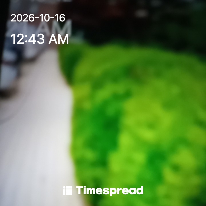 board-img