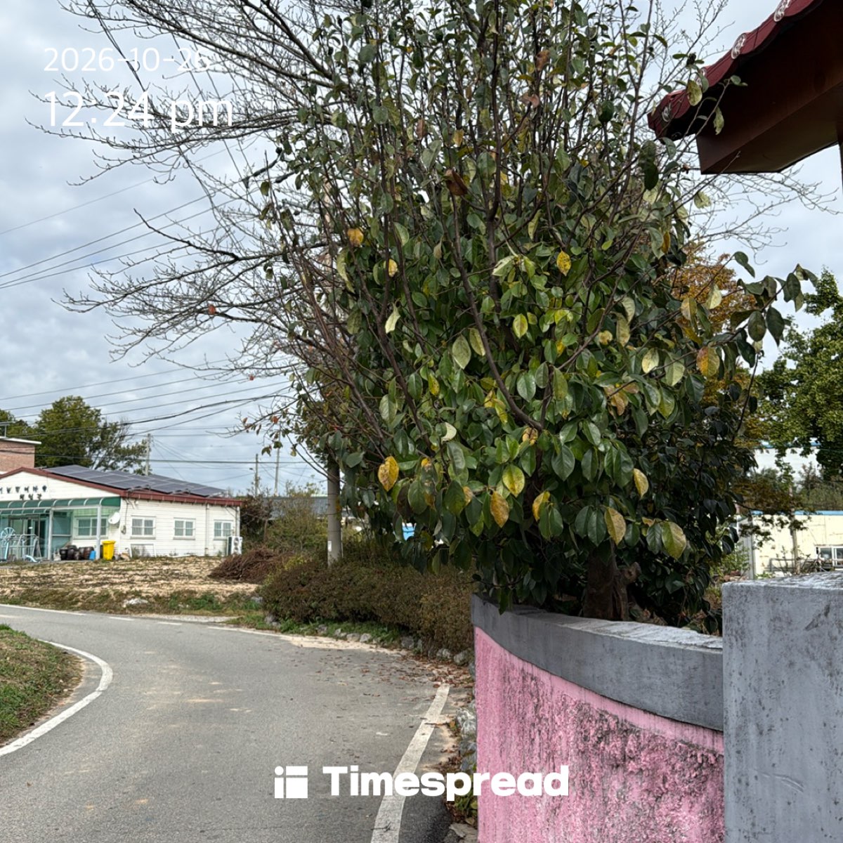 board-img
