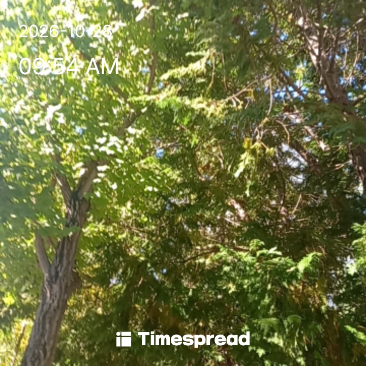 board-img