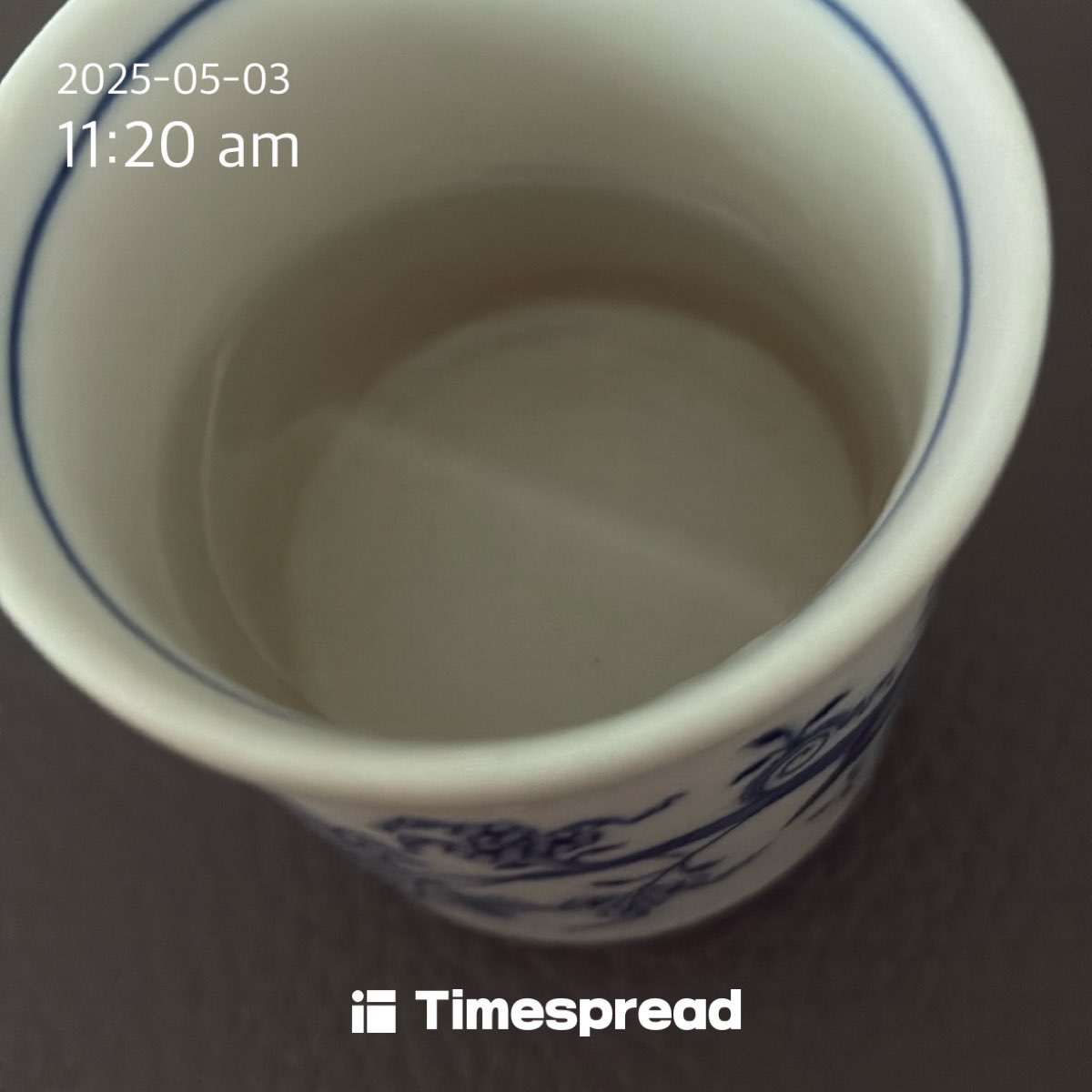 맛집탐방러의 물챌린지 Day6