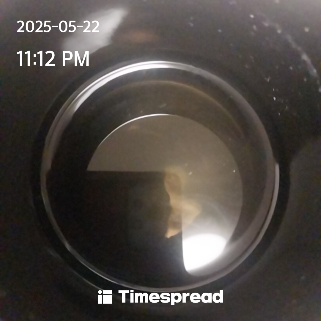 ㄴ