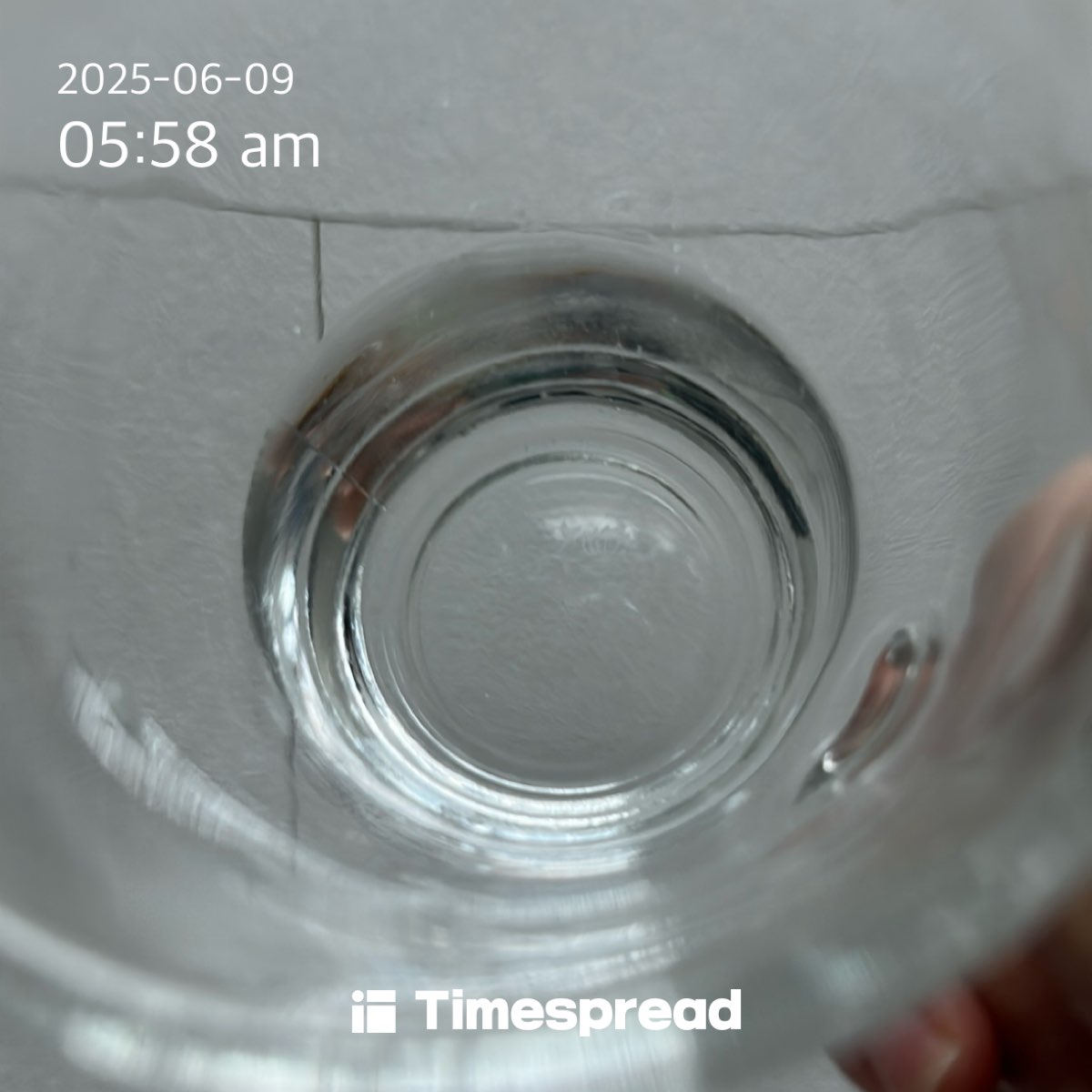 물마시기 챌린지